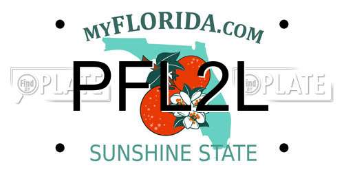 PFL2L Florida License Plate