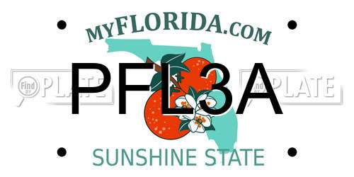 PFL3A Florida License Plate
