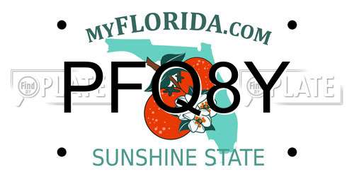 PFQ8Y Florida License Plate