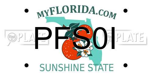 PFS0I Florida License Plate
