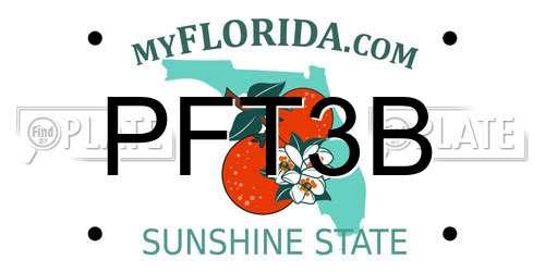 PFT3B Florida License Plate