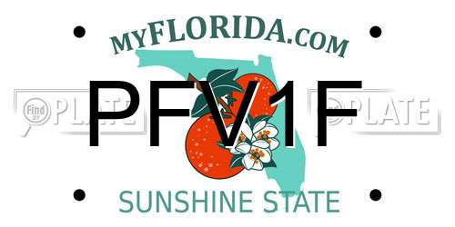 PFV1F Florida License Plate