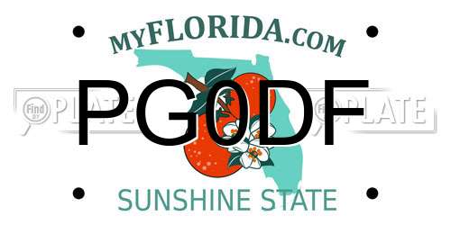 PG0DF Florida License Plate