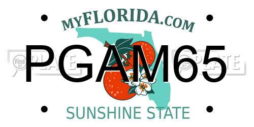 PGAM65 Florida License Plate