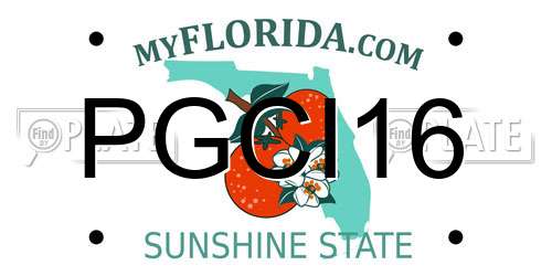 PGCI16 Florida License Plate