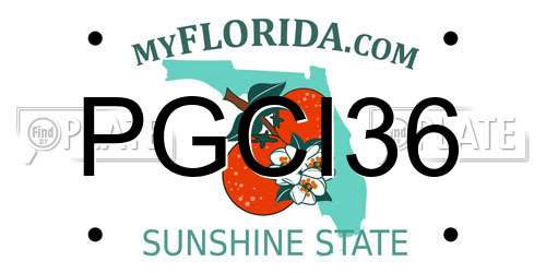PGCI36 Florida License Plate