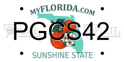 PGCS42 Florida License Plate