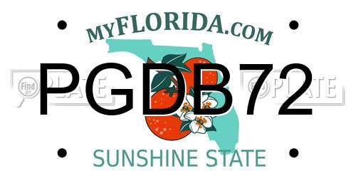 PGDB72 Florida License Plate