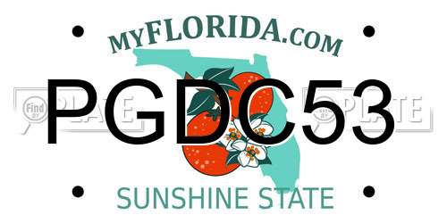 PGDC53 Florida License Plate