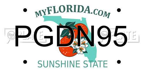 PGDN95 Florida License Plate