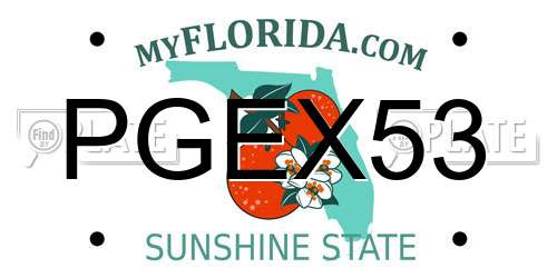 PGEX53 Florida License Plate