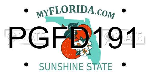 PGFD191 Florida License Plate