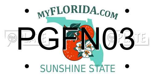 PGFN03 Florida License Plate