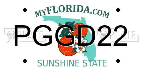 PGGD22 Florida License Plate