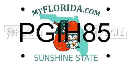 PGIH85 Florida License Plate