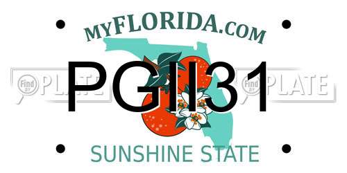 PGII31 Florida License Plate
