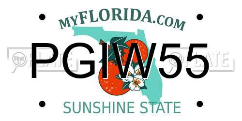 PGIW55 Florida License Plate