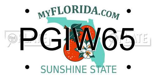 PGIW65 Florida License Plate