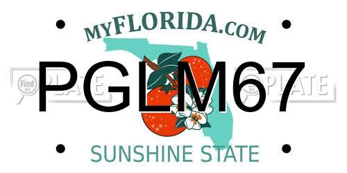 PGLM67 Florida License Plate