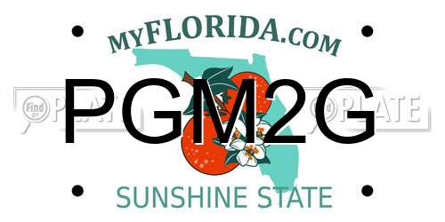 PGM2G Florida License Plate