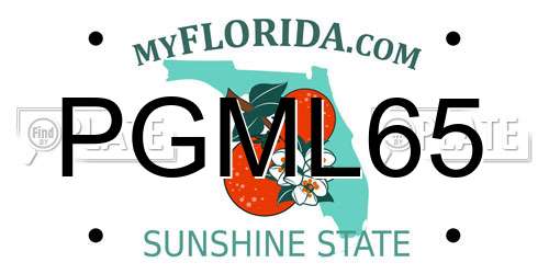 PGML65 Florida License Plate