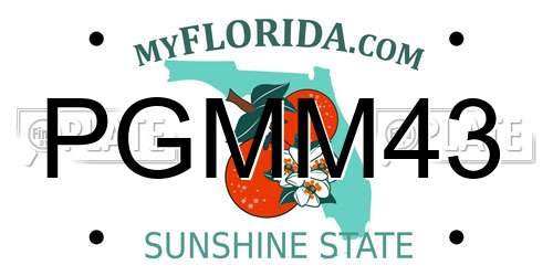 PGMM43 Florida License Plate