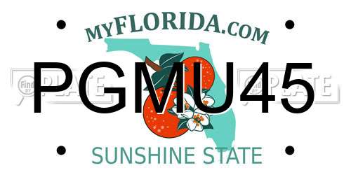 PGMU45 Florida License Plate