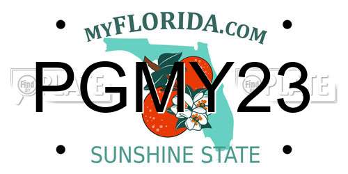PGMY23 Florida License Plate