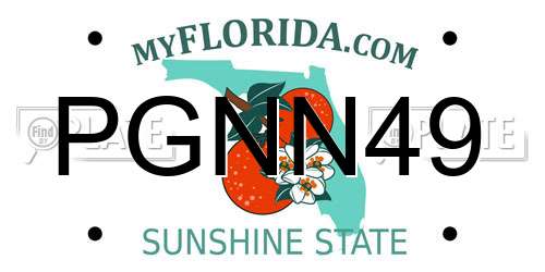 PGNN49 Florida License Plate