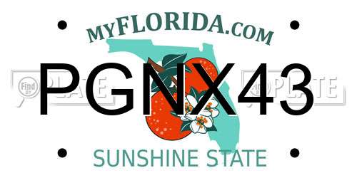 PGNX43 Florida License Plate