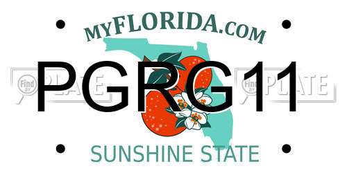 PGRG11 Florida License Plate