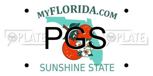 PGS Florida License Plate