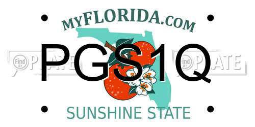 PGS1Q Florida License Plate