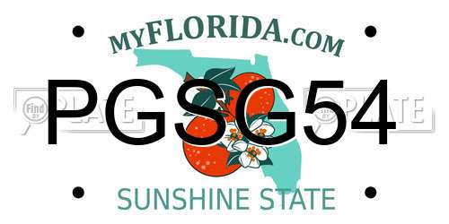 PGSG54 Florida License Plate