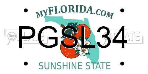 PGSL34 Florida License Plate