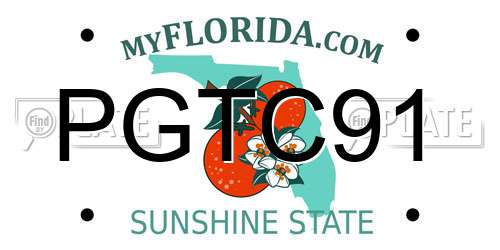 PGTC91 Florida License Plate