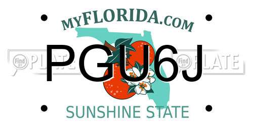 PGU6J Florida License Plate