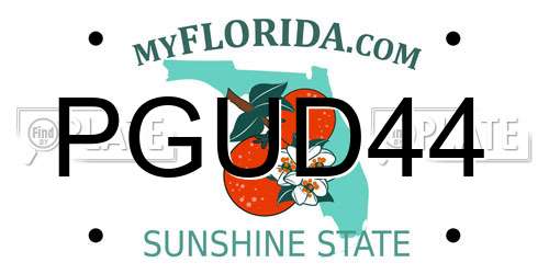 PGUD44 Florida License Plate