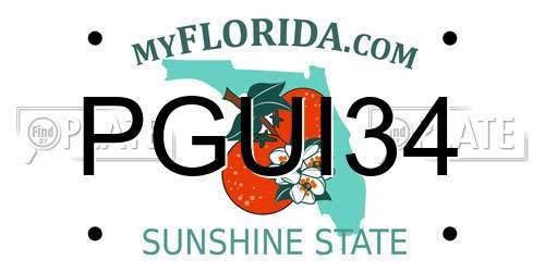 PGUI34 Florida License Plate