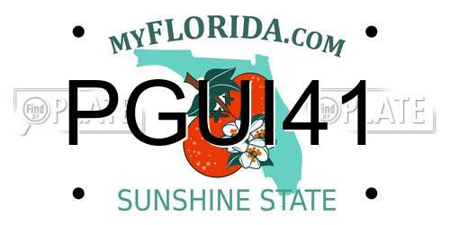 PGUI41 Florida License Plate