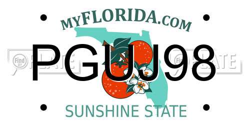 PGUJ98 Florida License Plate