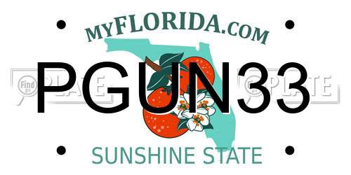 PGUN33 Florida License Plate