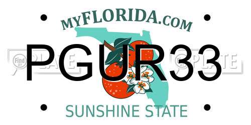 PGUR33 Florida License Plate
