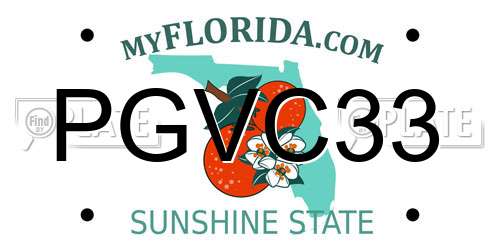 PGVC33 Florida License Plate