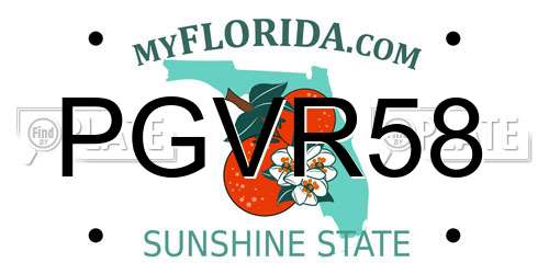 PGVR58 Florida License Plate