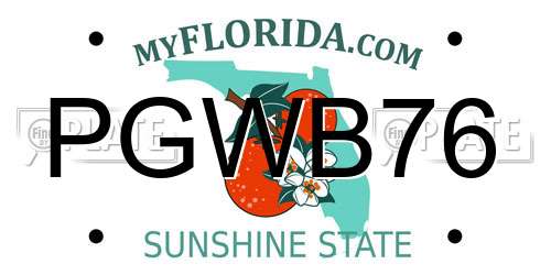 PGWB76 Florida License Plate