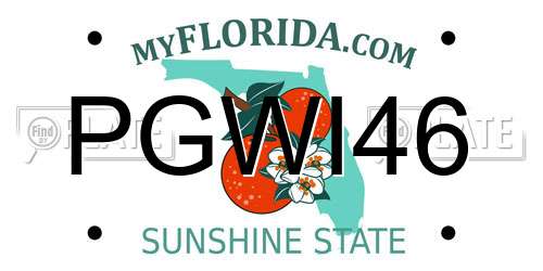 PGWI46 Florida License Plate