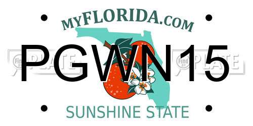 PGWN15 Florida License Plate