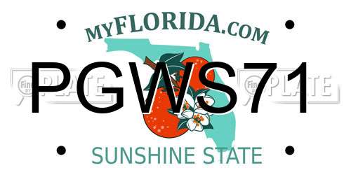 PGWS71 Florida License Plate
