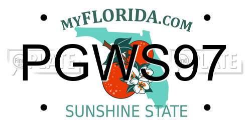 PGWS97 Florida License Plate